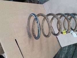 Hyundai Sonata Rear coil spring 