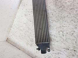 Fiat Punto (199) Chłodnica powietrza doładowującego / Intercooler 866455500