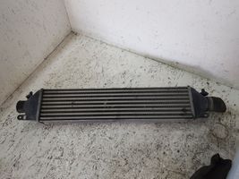 Fiat Punto (199) Chłodnica powietrza doładowującego / Intercooler 866455500