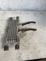 Opel Antara Fuel cooler (radiator) 