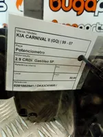 KIA Carnival Pedaliera 