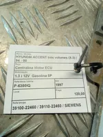 Hyundai Accent Sterownik / Moduł ECU 