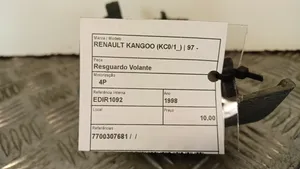 Renault Kangoo I Vairas 