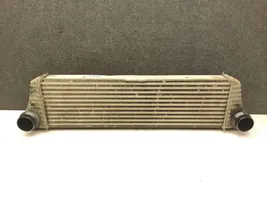 Mercedes-Benz Vito Viano W639 Chłodnica powietrza doładowującego / Intercooler A6395011301