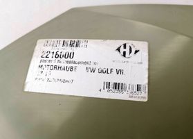 Volkswagen Golf VIII Vano motore/cofano 2216000