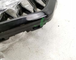 Audi RS6 C5 Grille calandre supérieure de pare-chocs avant 1028241