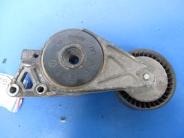 Skoda Octavia Mk2 (1Z) Timing belt/chain tensioner 06A903315E