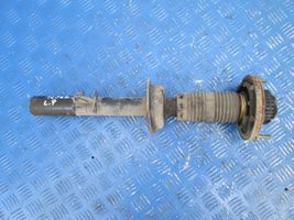 Alfa Romeo 166 Front shock absorber with coil spring 