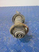 Audi A4 S4 B5 8D Front shock absorber with coil spring 