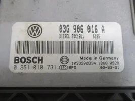 Volkswagen Touran I Unité de commande, module ECU de moteur 03G906016A