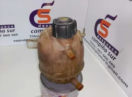 Nissan Kubistar Vaso di espansione carburante 