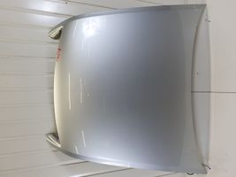 Volkswagen Phaeton Engine bonnet/hood 