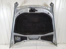 Volkswagen Phaeton Engine bonnet/hood 