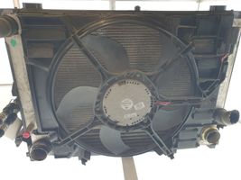 BMW 5 E60 E61 Комплект радиатора 