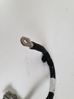 Volkswagen Phaeton Cable negativo de tierra (batería) 