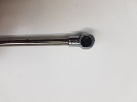 Volkswagen Phaeton Tailgate/trunk strut/damper 