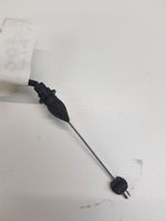 Audi A3 S3 8P Front door cable line 