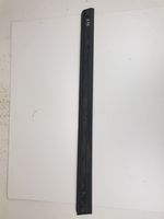 Audi A6 S6 C6 4F Front door trim (molding) 