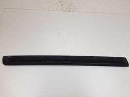 Audi A8 S8 D3 4E Rivestimento della portiera anteriore (modanatura) 