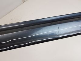 Audi A8 S8 D3 4E Rivestimento della portiera anteriore (modanatura) 