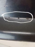 Audi A8 S8 D3 4E Rivestimento della portiera anteriore (modanatura) 