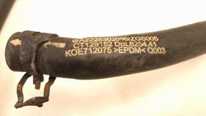 Mercedes-Benz S W222 Coolant pipe/hose A2228302096