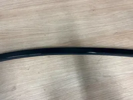 BMW M4 F82 F83 Door glass trim 7433337