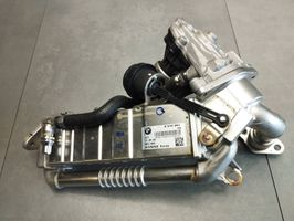 BMW X1 F48 F49 EGR vožtuvas 8515891