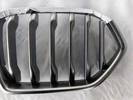 BMW X6 G06 Grille calandre supérieure de pare-chocs avant 8494885