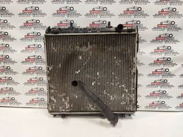 Hyundai Terracan Coolant radiator 