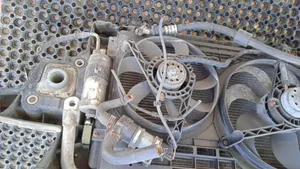 Audi TT Mk1 Pannello di supporto del radiatore 