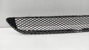 Mercedes-Benz C AMG W203 Front bumper lower grill 