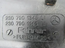 Mercedes-Benz SL R230 Kita salono detalė A2307901345