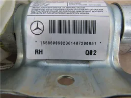 Mercedes-Benz GL X166 Stogo oro pagalvė (užuolaida) 1688600022