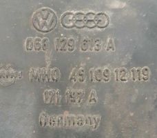 Volkswagen Caddy Oro filtro dėžė 068129613A