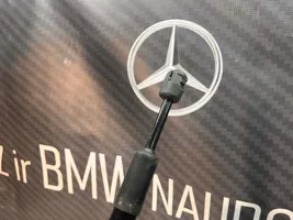 Mercedes-Benz E W213 Takaluukun tuen kaasujousi A2139800564