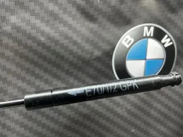 BMW X5 F15 Ammortizzatore portellone anteriore/cofano 9149120