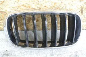 BMW X5 F15 Front bumper upper radiator grill 7316076
