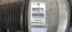 Mercedes-Benz S C217 Ammortizzatore/sospensione pneumatica A2173202400