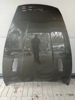 Aston Martin Virage Pokrywa przednia / Maska silnika 