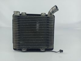 Hyundai H-1, Starex, Satellite Chłodnica powietrza doładowującego / Intercooler 