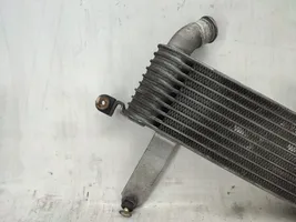 Hyundai Matrix Chłodnica powietrza doładowującego / Intercooler 