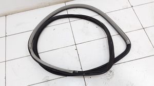 Volkswagen PASSAT B5.5 Front door rubber seal 