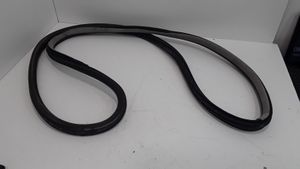 Volkswagen PASSAT B5.5 Front door rubber seal 