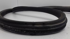 Volkswagen PASSAT B5.5 Front door rubber seal 