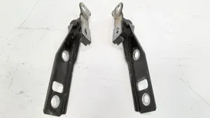 Volkswagen Golf IV Engine bonnet/hood hinges 