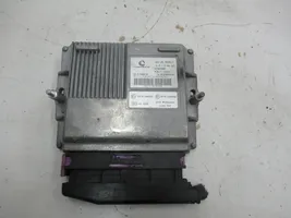 Renault Clio III Module d'unité de contrôle GPL 616667000