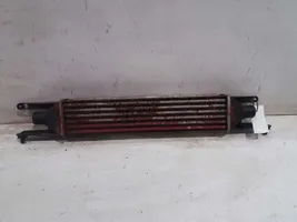 Fiat Grande Punto Chłodnica powietrza doładowującego / Intercooler 0055702237