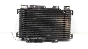 Mitsubishi Montero Chłodnica powietrza doładowującego / Intercooler 1271000420