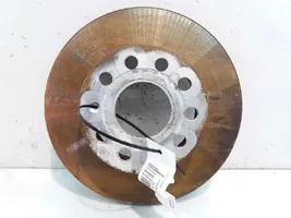 Volkswagen Jetta V Rear brake disc 